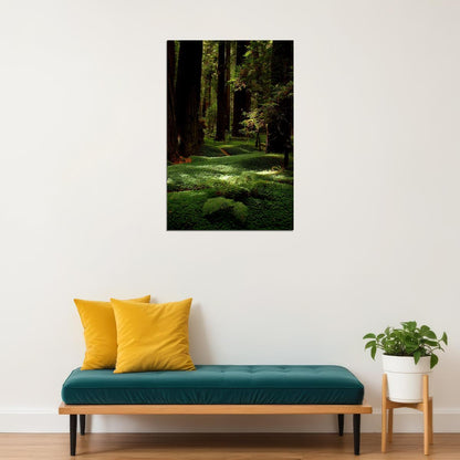 Lush Forest Floor And Tall Trees Nature Poster Wall Art Print Home Wall Decor - xonomax
