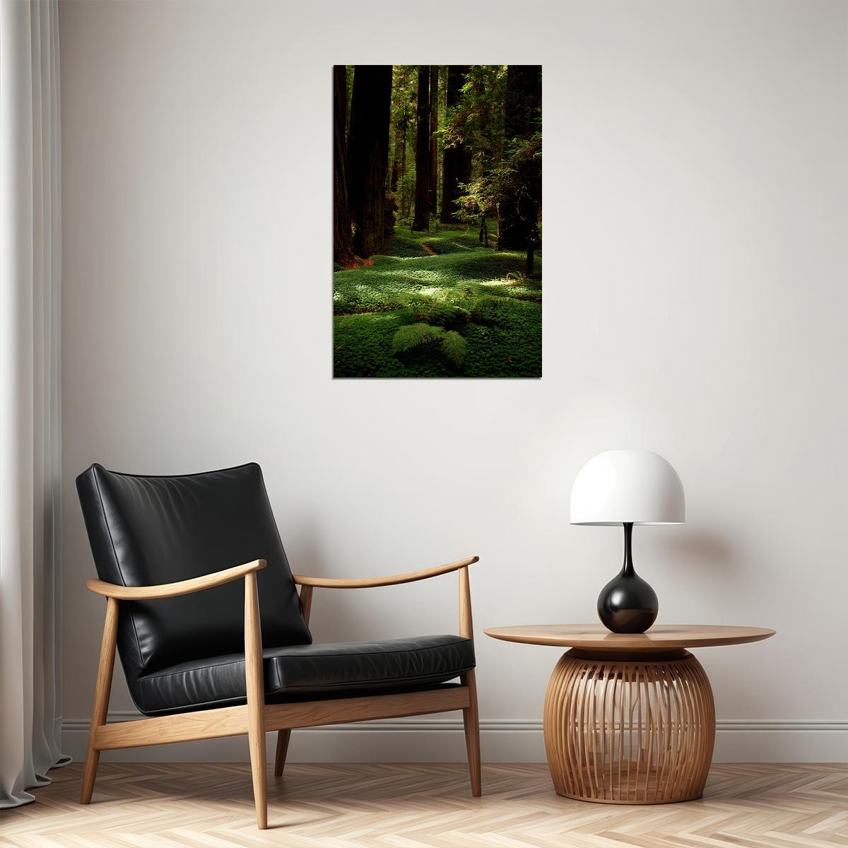 Lush Forest Floor And Tall Trees Nature Poster Wall Art Print Home Wall Decor - xonomax