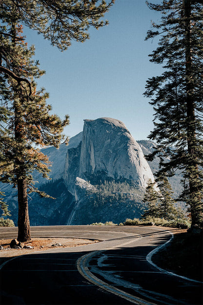 Pine Forest In Yosemite National Park Landscape Poster Wall Art Print Home Wall Decor - xonomax