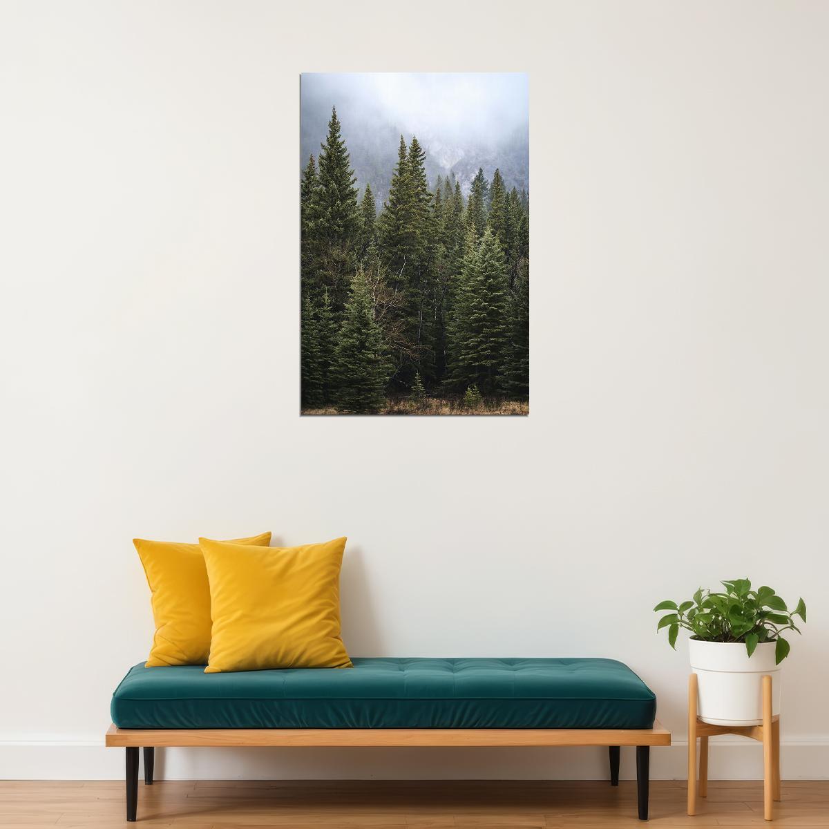 Forest Of Pine Trees Nature Landscape Poster Wall Art Print Home Wall Decor - xonomax