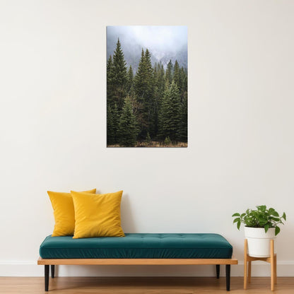 Forest Of Pine Trees Nature Landscape Poster Wall Art Print Home Wall Decor - xonomax