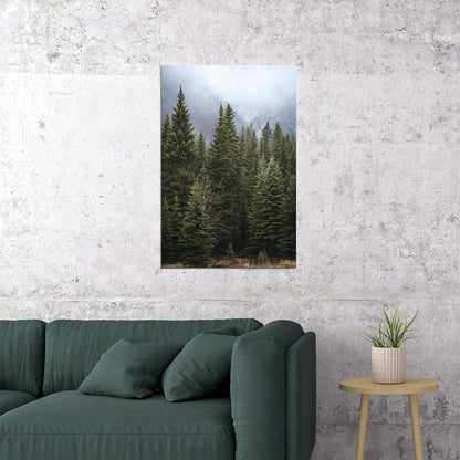 Forest Of Pine Trees Nature Landscape Poster Wall Art Print Home Wall Decor - xonomax