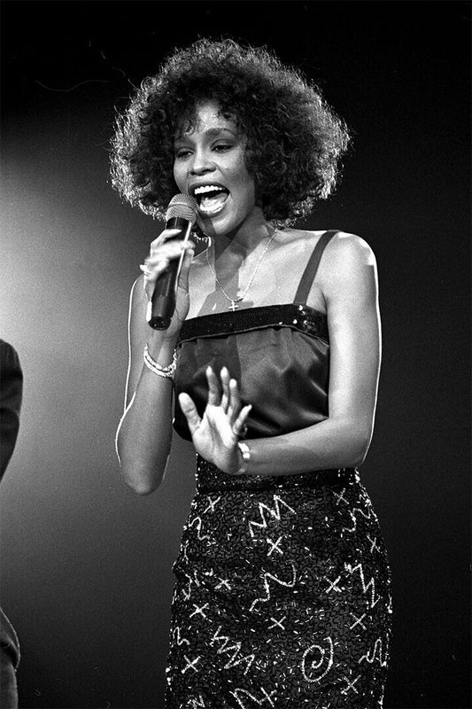Whitney Houston 1999 World Tour Filmmaker Artist Poster Wall Art Print Home Wall Decor - xonomax