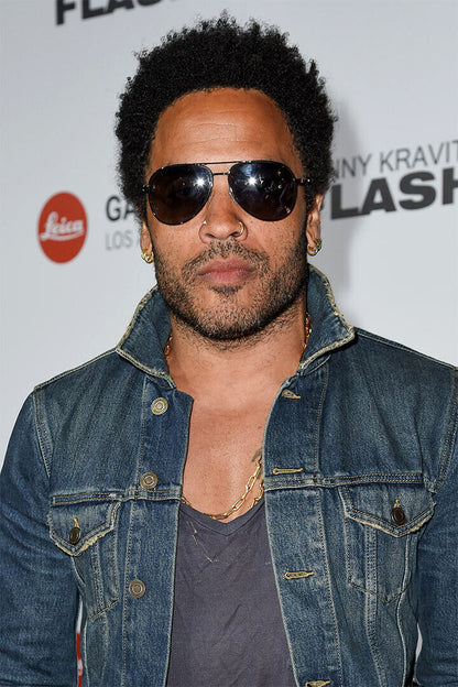Lenny Kravitz Posed Actor Songwriter Poster Wall Art Print Home Wall Decor
