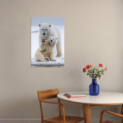Polar Bears Animals Polar Love Mother Cub Poster Wall Art Print Home Wall Decor - xonomax