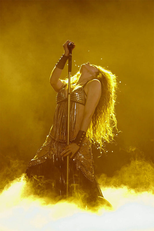 Shakira In Concert Sexy Singer Woman Poster Wall Art Print Home Wall Decor - xonomax