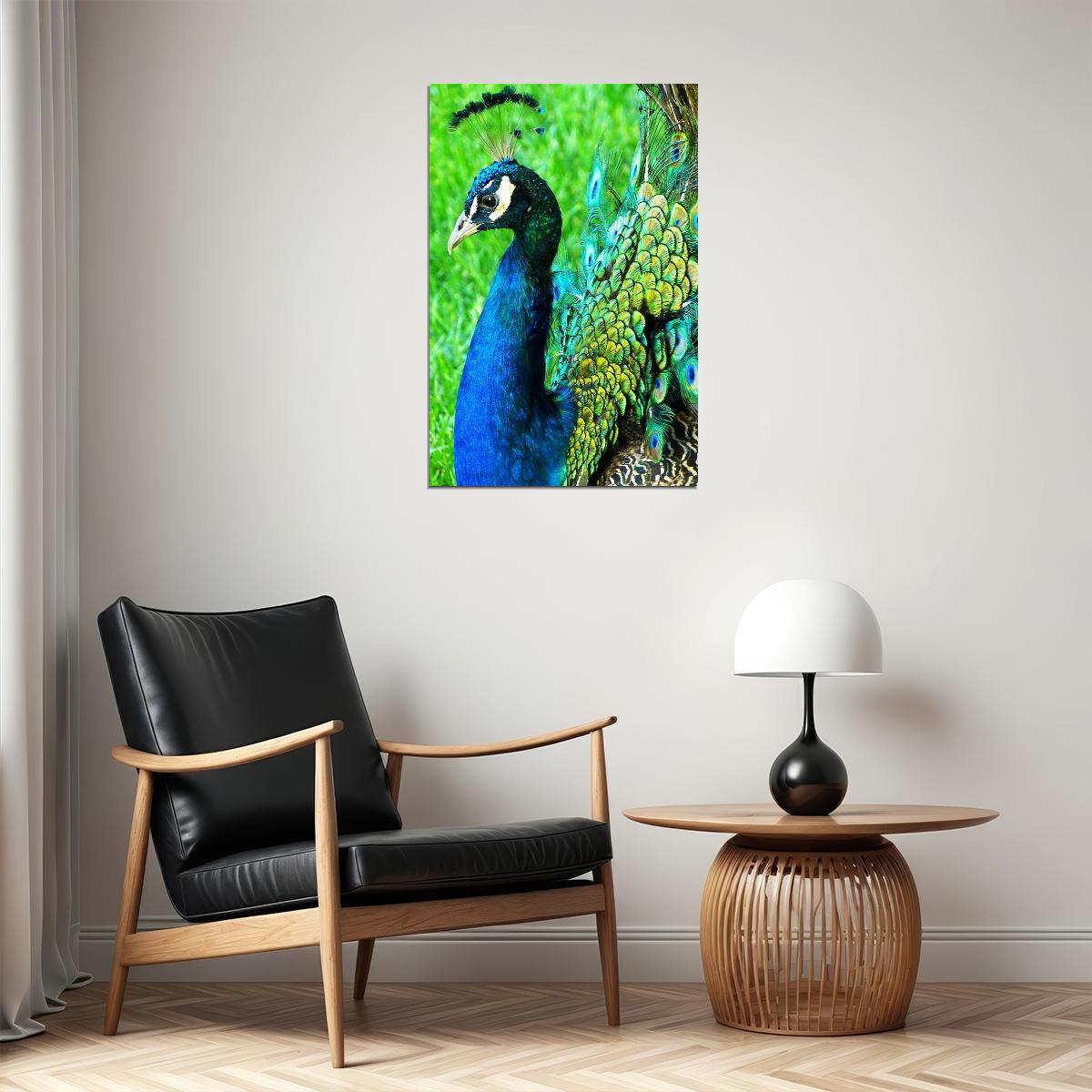 Peacocks Colorful Feathered Bird Poster Wall Art Print Home Wall Decor - xonomax