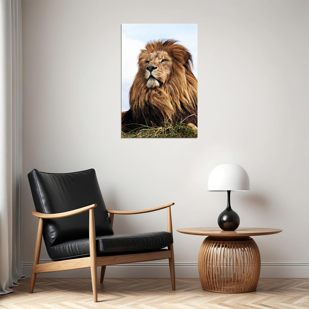Wild Lion Big Head Sitting Cat Poster Wall Art Print Home Wall Decor - xonomax