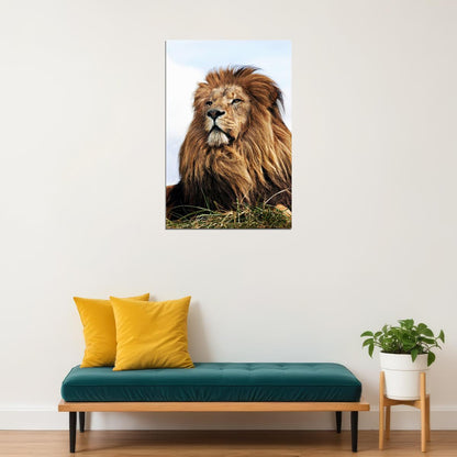 Wild Lion Big Head Sitting Cat Poster Wall Art Print Home Wall Decor - xonomax