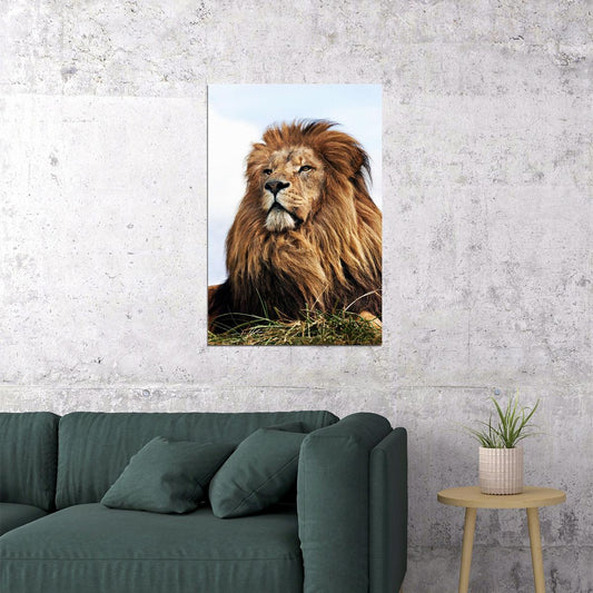 Wild Lion Big Head Sitting Cat Poster Wall Art Print Home Wall Decor - xonomax