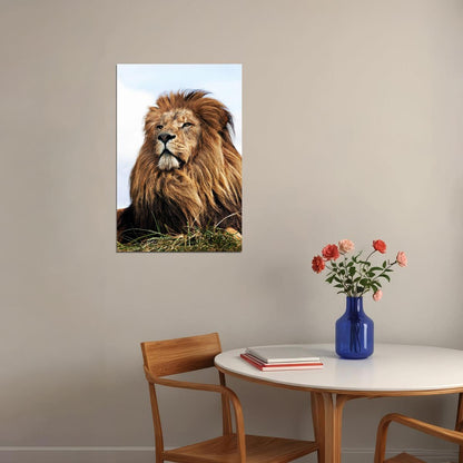 Wild Lion Big Head Sitting Cat Poster Wall Art Print Home Wall Decor - xonomax