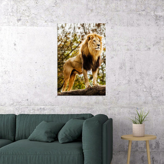 Wild Lion Dangerous Nature Big Animals Poster Wall Art Print Home Wall Decor - xonomax
