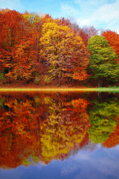 Autumn Landscape Reflection In Water Poster Wall Art Print Home Wall Decor - xonomax