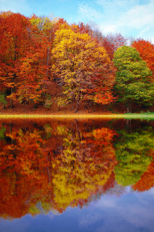 Autumn Landscape Reflection In Water Poster Wall Art Print Home Wall Decor - xonomax