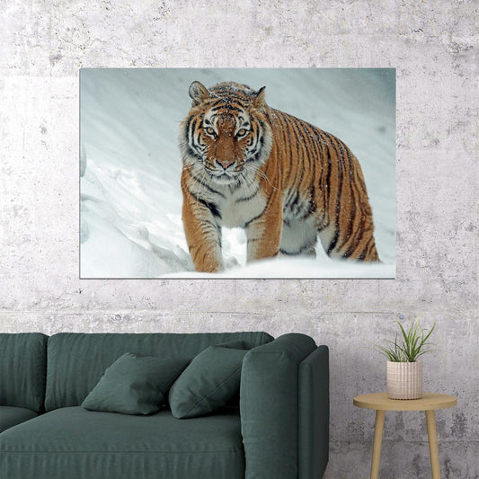 Wild Animals Tiger At Snow Poster Wall Art Print Home Wall Decor - xonomax