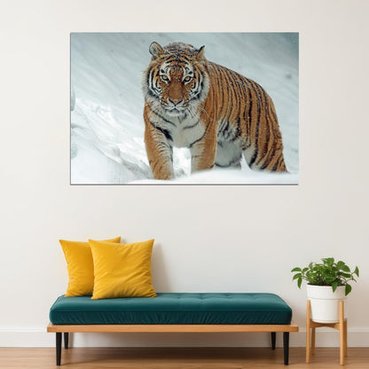 Wild Animals Tiger At Snow Poster Wall Art Print Home Wall Decor - xonomax