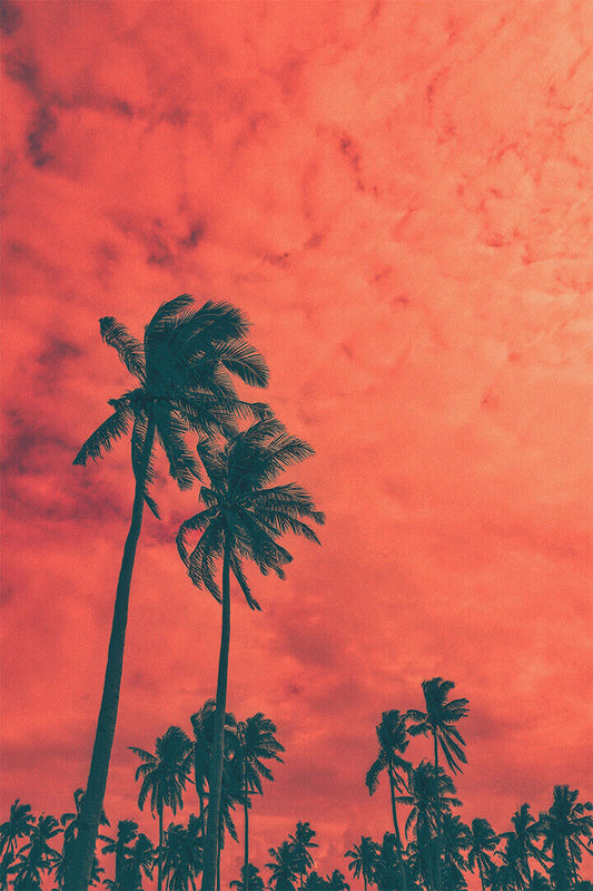 Coconut Palm Trees On Sand Storm Poster Wall Art Print Home Wall Decor - xonomax