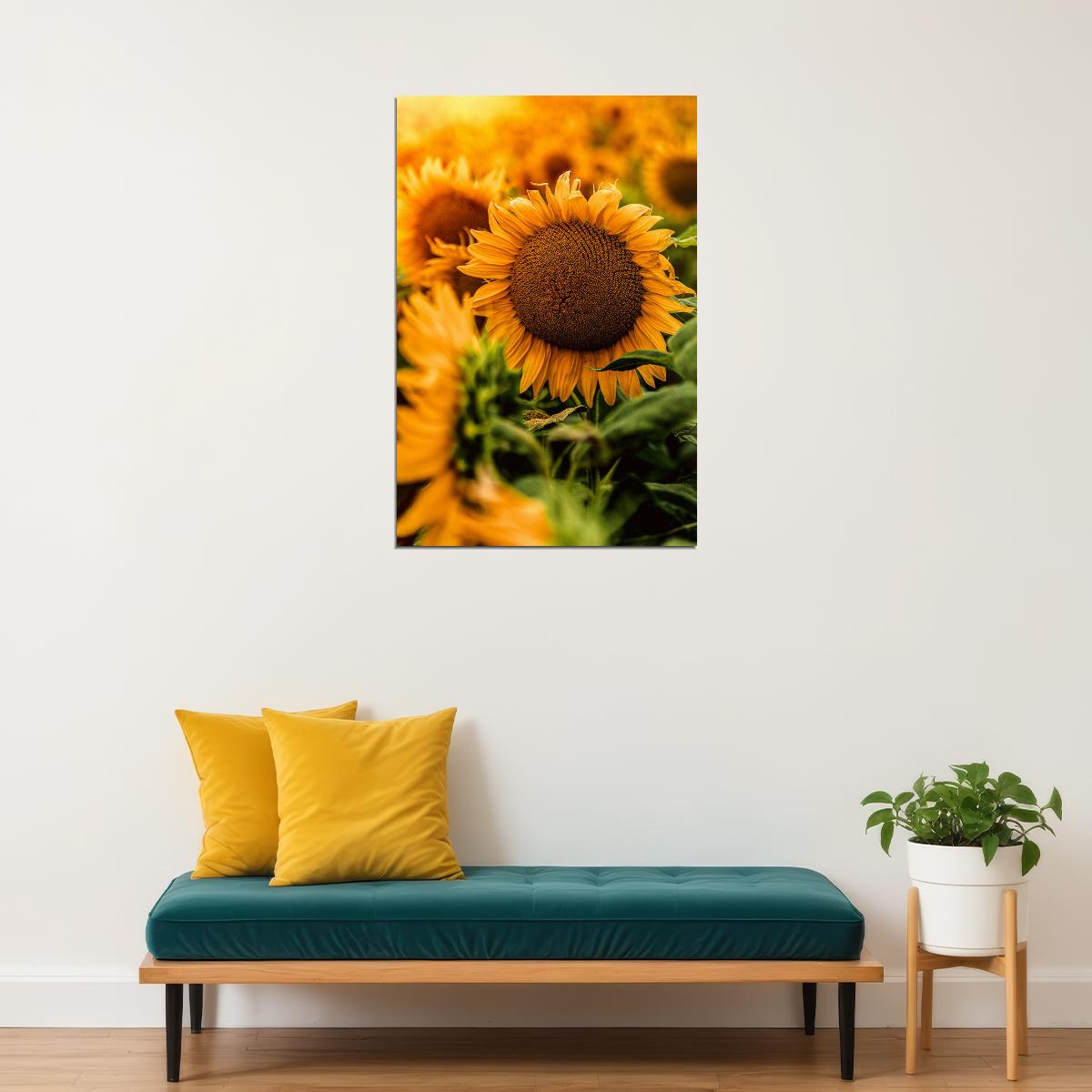 Yellow Sunflower In Close Up Photography Poster Wall Art Print Home Wall Decor