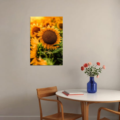 Yellow Sunflower In Close Up Photography Poster Wall Art Print Home Wall Decor