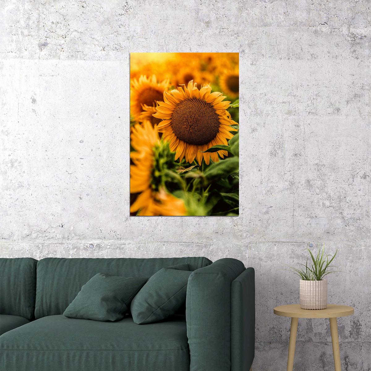 Yellow Sunflower In Close Up Photography Poster Wall Art Print Home Wall Decor