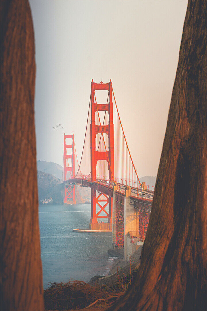 Golden Gate Bridge San Francisco Poster Wall Art Print Home Wall Decor - xonomax