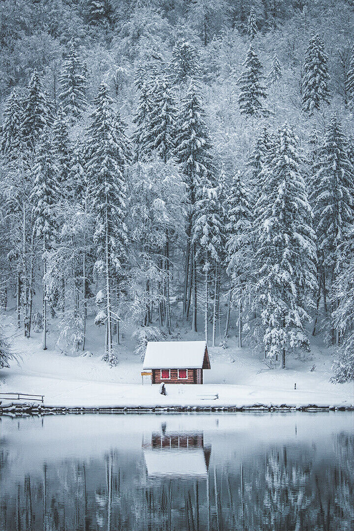 Winter Landscape Lake House In Forest Poster Wall Art Print Home Wall Decor - xonomax