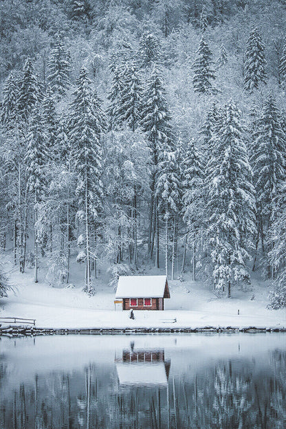 Winter Landscape Lake House In Forest Poster Wall Art Print Home Wall Decor - xonomax
