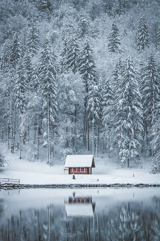 Winter Landscape Lake House In Forest Poster Wall Art Print Home Wall Decor - xonomax