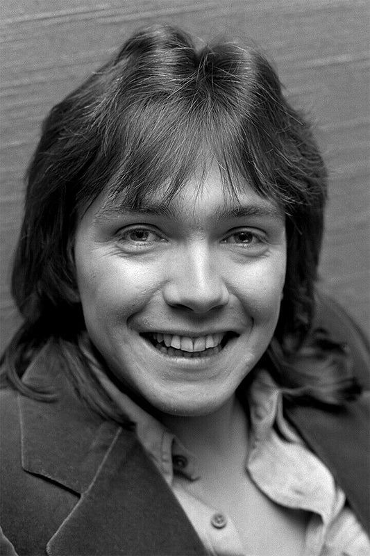 Actor David Cassidy Smiling Singer Songwriter Poster Wall Art Print Home Wall Decor - xonomax