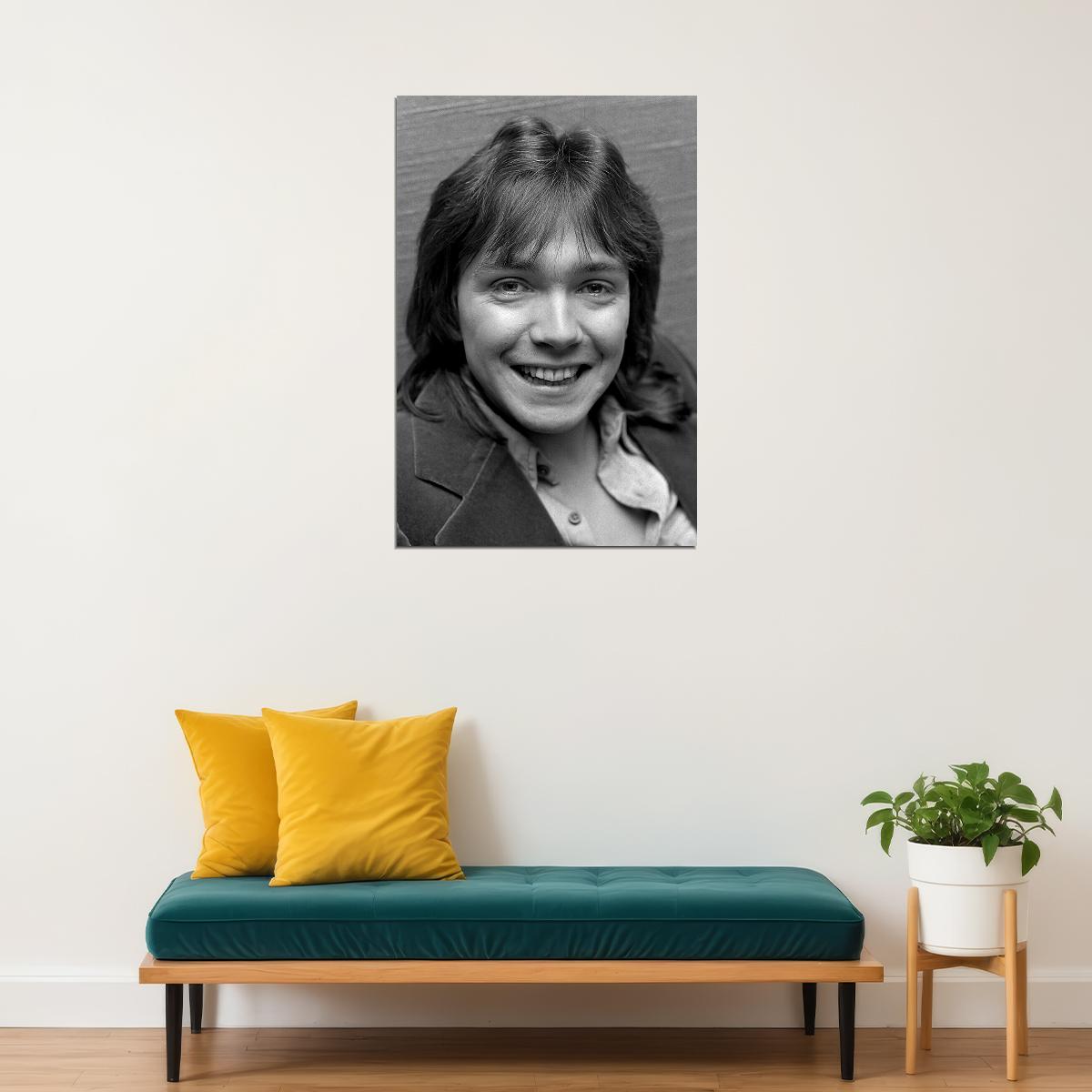 Actor David Cassidy Smiling Singer Songwriter Poster Wall Art Print Home Wall Decor - xonomax