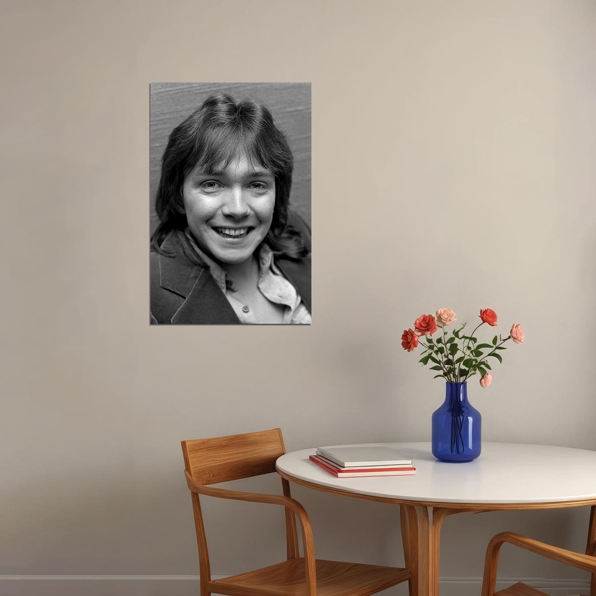 Actor David Cassidy Smiling Singer Songwriter Poster Wall Art Print Home Wall Decor - xonomax