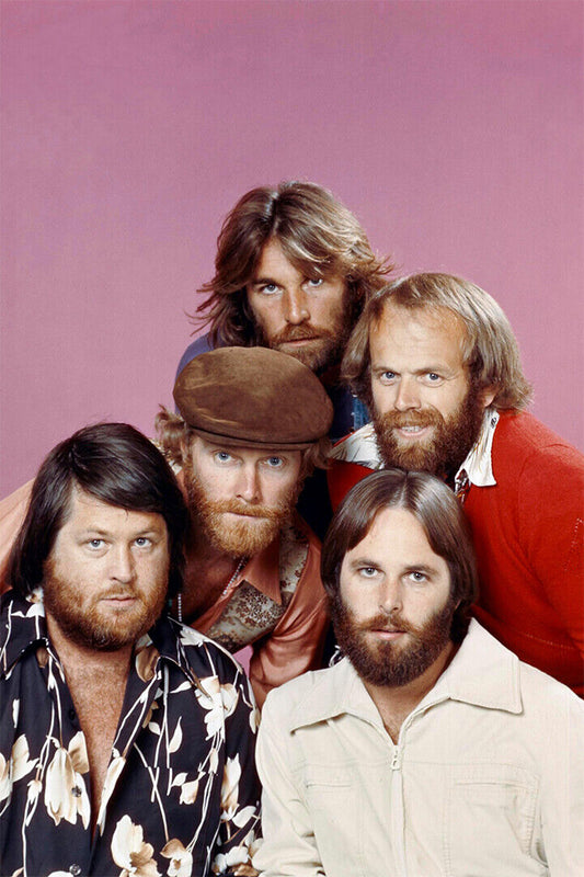 The Beach Boys Rock Musicians Poster Wall Art Print Home Wall Decor - xonomax