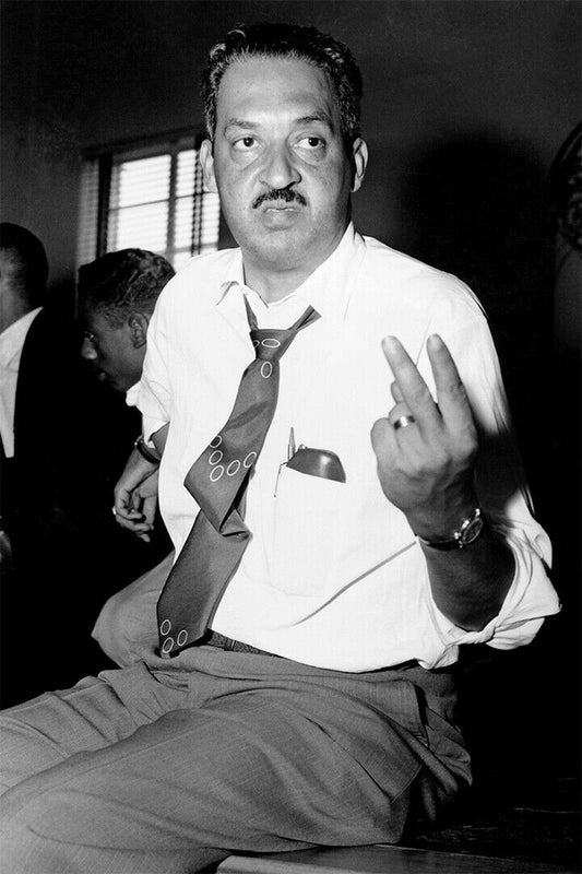Thurgood Marshall At Naacp Meeting Poster Wall Art Print Home Wall Decor - xonomax