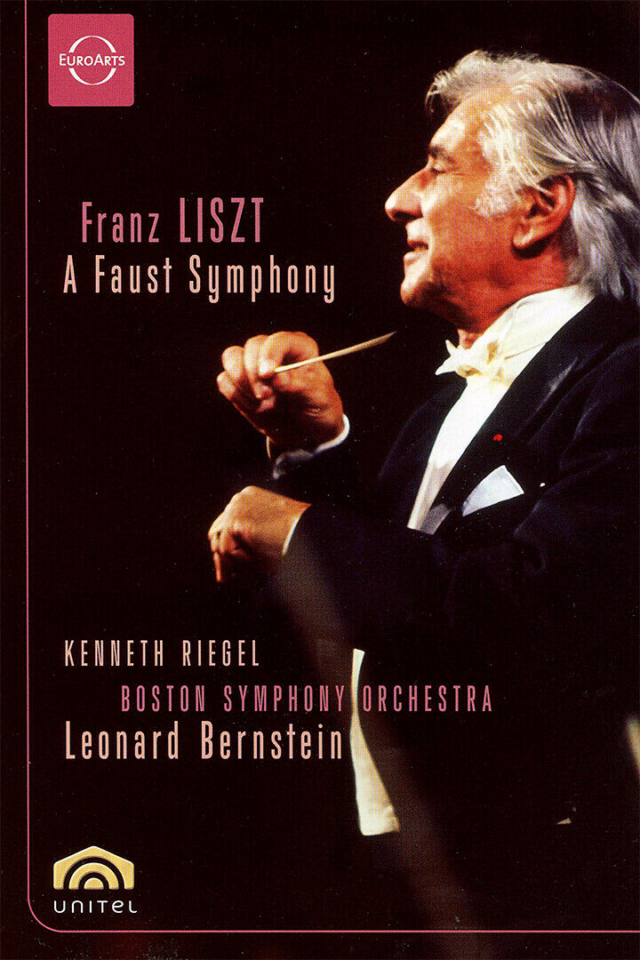 Leonard Bernstein Conducting Boston Symphony Poster Wall Art Print Home Wall Decor - xonomax