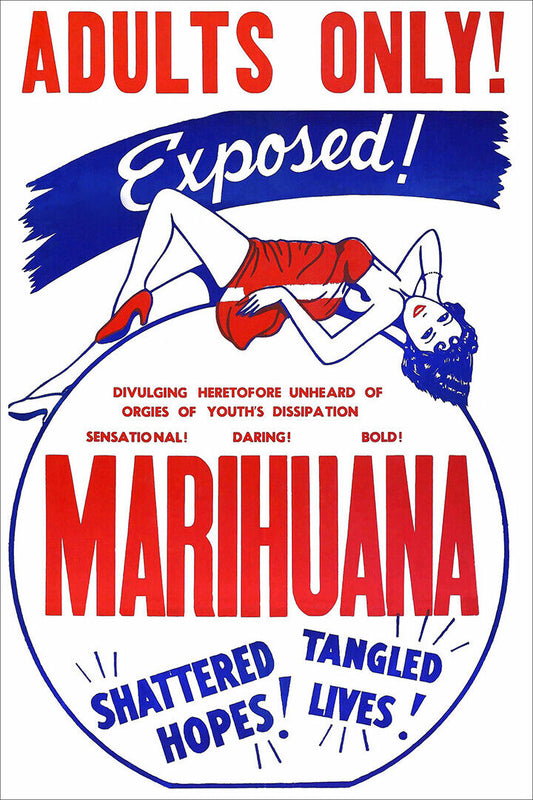 Anti Marijuanna Vintage Woman Poster Wall Art Print Home Wall Decor - xonomax