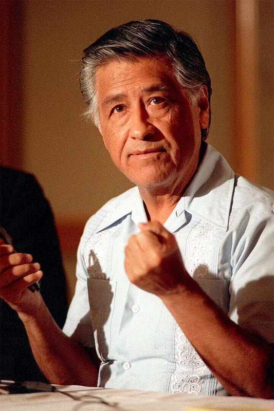 Cesar Chavez Human Rights Defender Poster Wall Art Print Home Wall Decor - xonomax