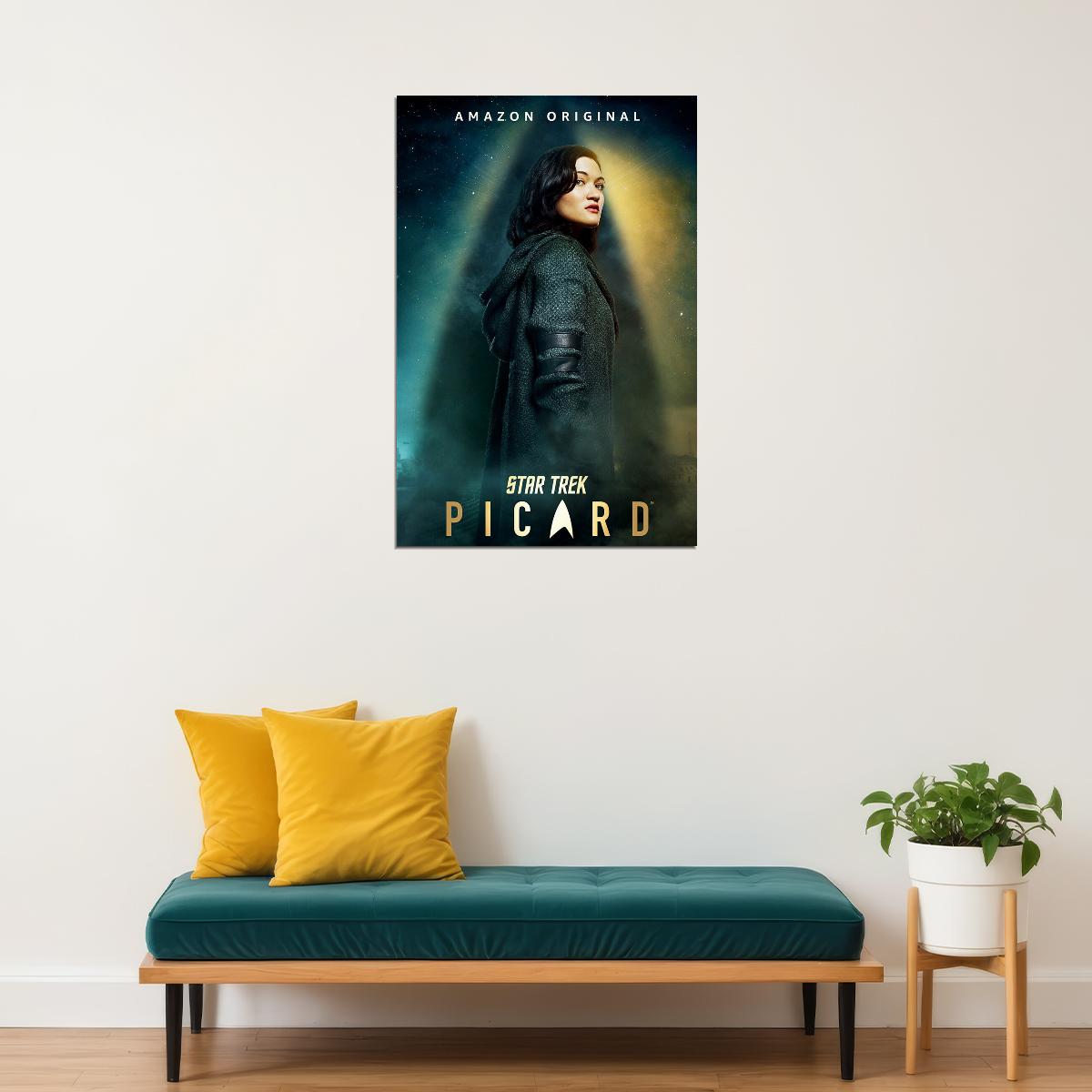Star Trek Picard Fantasy Movie Poster Wall Art Print Home Wall Decor - xonomax