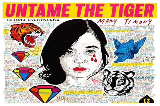 Mary Timony Untame The Tiger Celebrity American Singer Artist Poster Wall Art Print Home Wall Decor - xonomax
