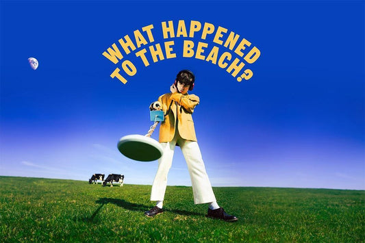 Declan Mckenna What Happened To The Beach Singer Album Poster Wall Art Print Home Wall Decor - xonomax