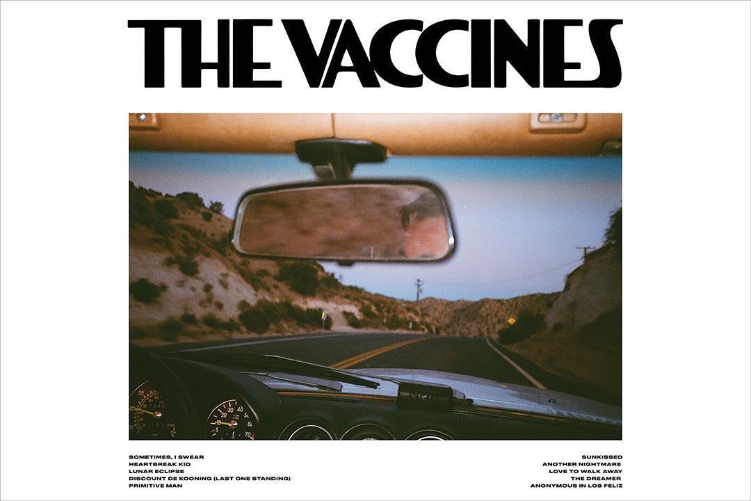 The Vaccines Pick Up Full Of Pink Carnations Music Band Album Poster Wall Art Print Home Wall Decor - xonomax