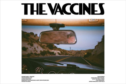 The Vaccines Pick Up Full Of Pink Carnations Music Band Album Poster Wall Art Print Home Wall Decor - xonomax