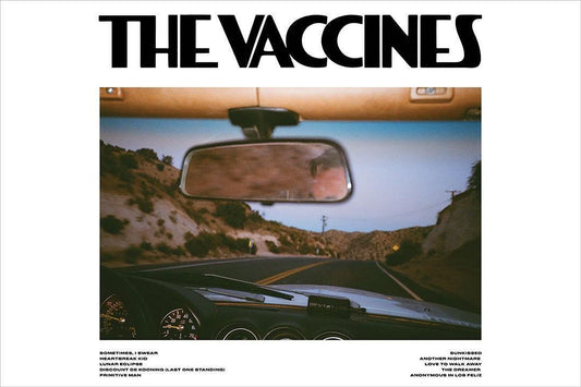 The Vaccines Pick Up Full Of Pink Carnations Music Band Album Poster Wall Art Print Home Wall Decor - xonomax