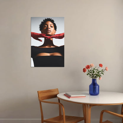 Willow Smith Celebrity American Singer Cinema Actor Poster Wall Art Print Home Wall Decor