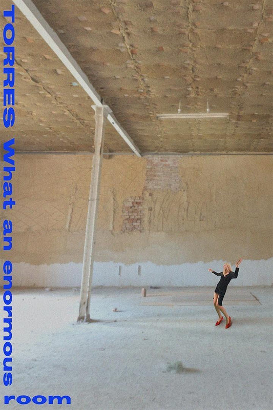 Torres What An Enormous Room American Rock Singer Poster Wall Art Print Home Wall Decor