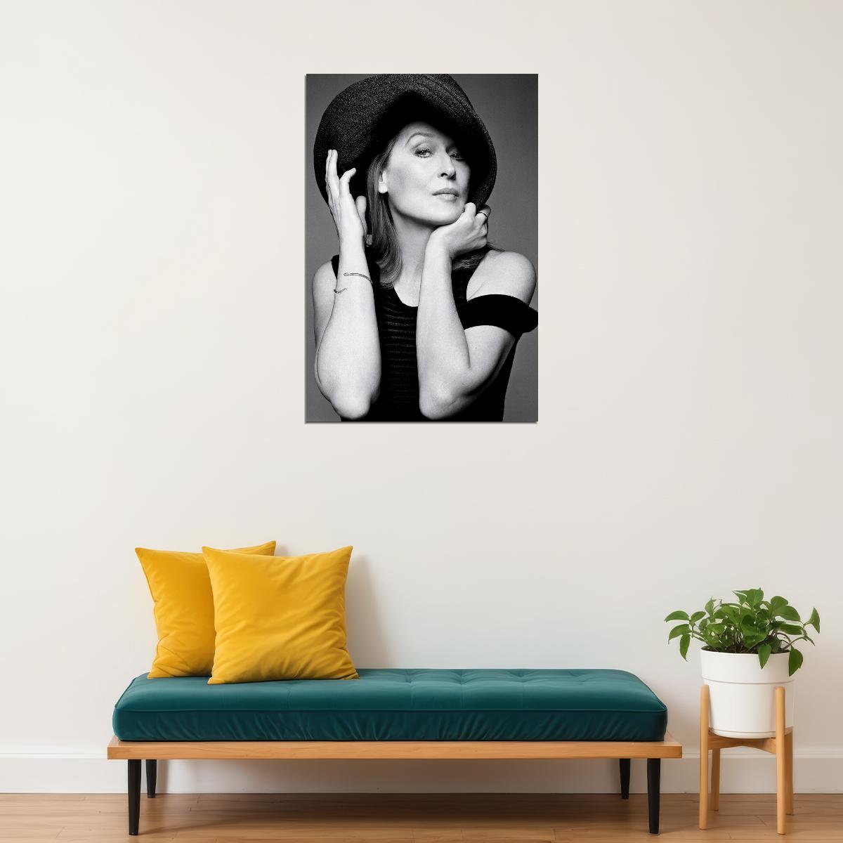 Meryl Streep American Actress And Artist Poster Wall Art Print Home Wall Decor - xonomax