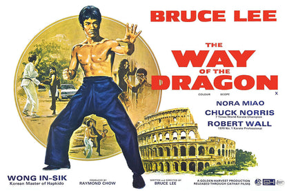 Way Of The Dragon Movie Version 1 Action Comedy Adventure Poster Wall Art Print Home Wall Decor - xonomax