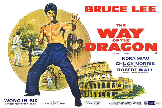 Way Of The Dragon Movie Version 1 Action Comedy Adventure Poster Wall Art Print Home Wall Decor - xonomax