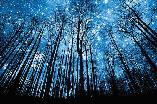 Night Of The Winter Forest Landscape Space Poster Wall Art Print Home Wall Decor - xonomax