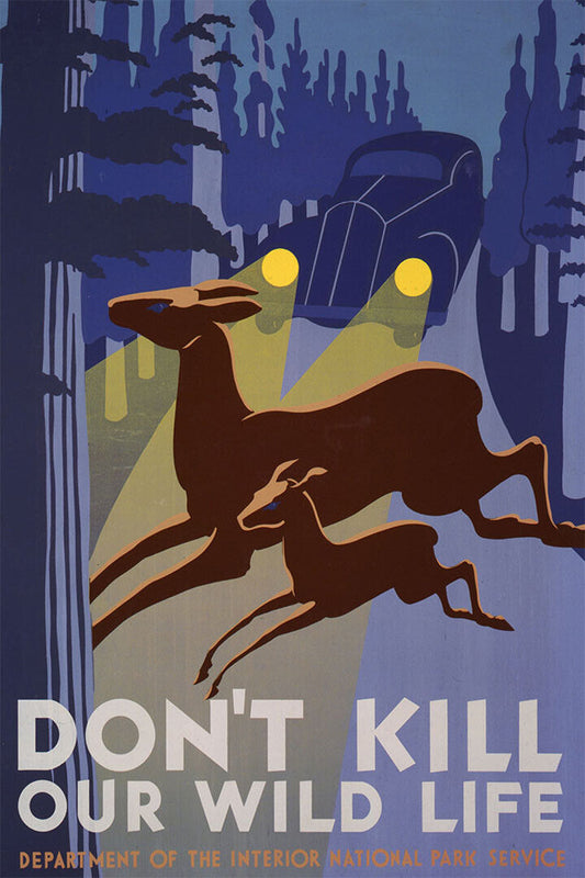 Don't Kill Our Wild Life National Park Awareness Poster Wall Art Print Home Wall Decor - xonomax