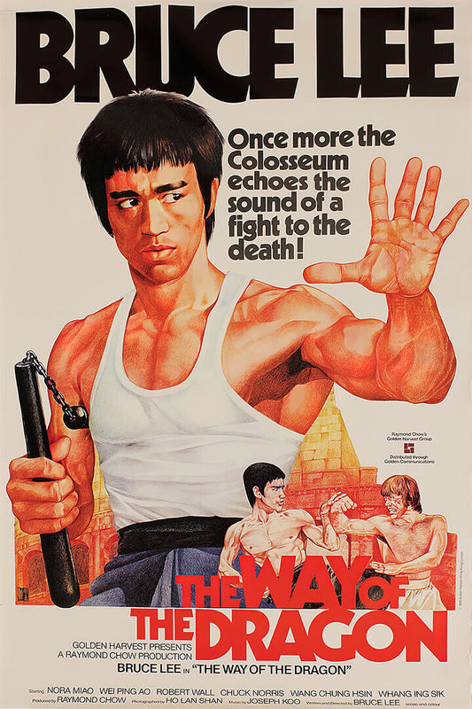Way Of The Dragon Movie Version 1 Action Comedy Adventure Poster Wall Art Print Home Wall Decor - xonomax